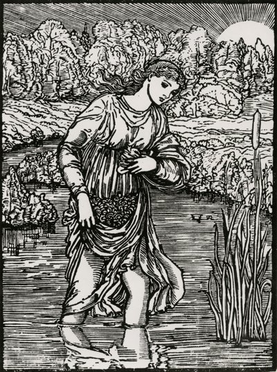 La tâche des roseaux - Edward Coley (after) Burne Jones