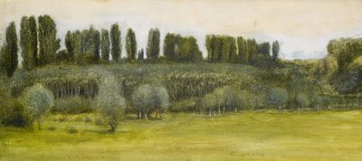 Paysage avec saules et peupliers, étude - Edward Burne Jones