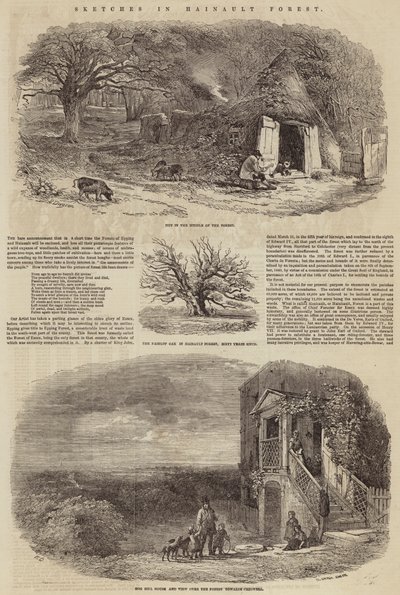 Croquis dans la forêt de Hainault - Edward Duncan