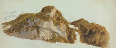 Étude de rochers couverts d