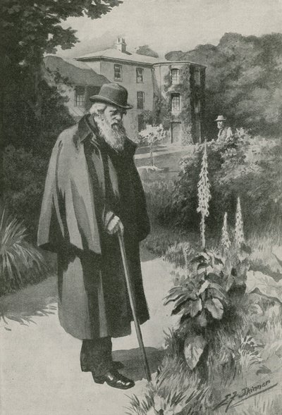 Charles Darwin dans son jardin à Down House (lithographie) - Edward Frederick Skinner
