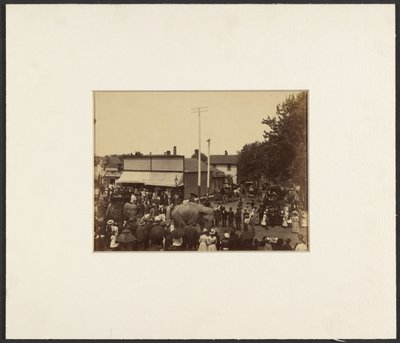 [Les éléphants traversent la ville, Maple City] - Edward H. Hart