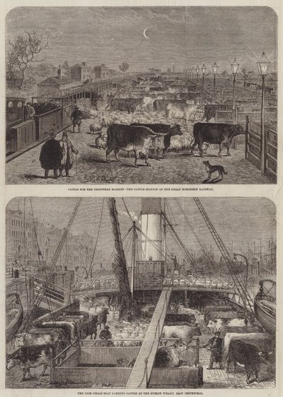 Bétail pour le marché de Noël - Edward Hull