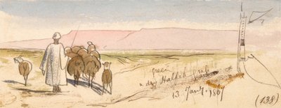 Une herbe sèche (Halfeh Grass) - Edward Lear