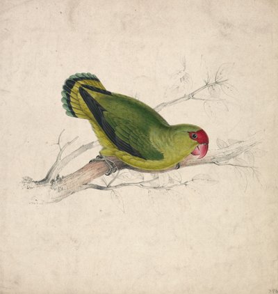  - Edward Lear
