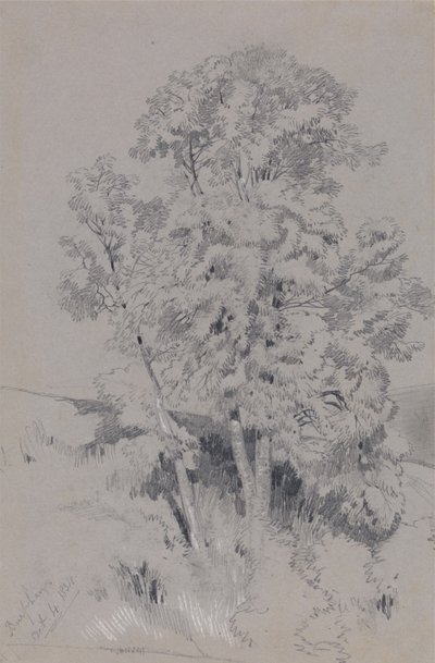 Burpham, le 4 octobre 1834 - Edward Lear