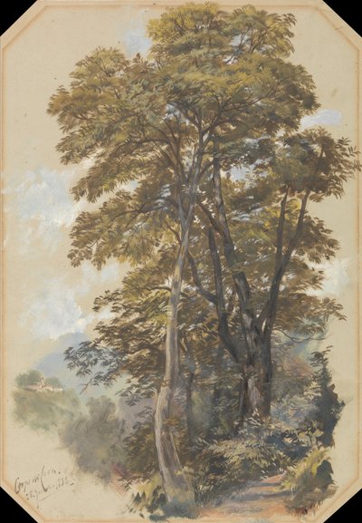Corps des carrières, 28 juin 1838 - Edward Lear