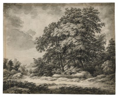 Paysage forestier - Edward Lear