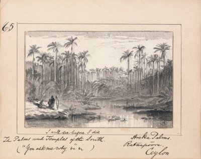 Illustration de "You Ask Me Why" de Tennyson : Areka Palms, Ratanapooru, Ceylan - "Je verrai avant de mourir les palmiers et les temples du Sud". - Edward Lear