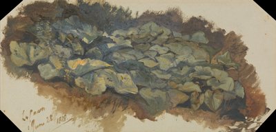 La carrière - Edward Lear
