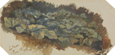 La Cava - Edward Lear