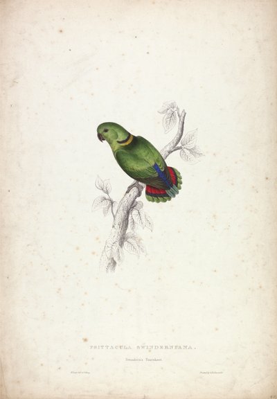  - Edward Lear