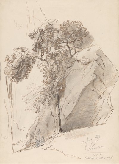 Siracusa, 12 juin 1847 - Edward Lear