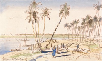 Sowadi, 8h30, 4 janvier 1867 (65) - Edward Lear