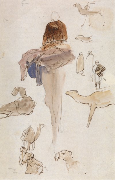 Études sur les chameaux - Edward Lear