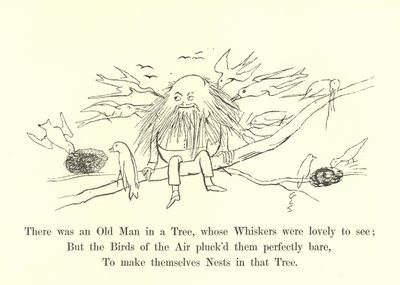 Il y avait un vieil homme dans un arbre, dont les moustaches étaient magnifiques à voir - Edward Lear