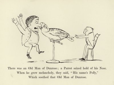 Il y avait un vieil homme de Dunrose; un perroquet lui saisit le nez - Edward Lear