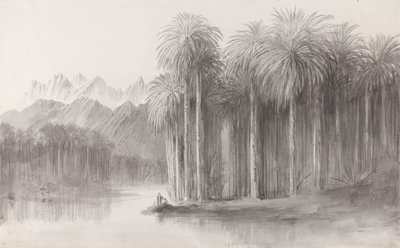 Wady Feiran, péninsule du Mont Sinaï - Edward Lear
