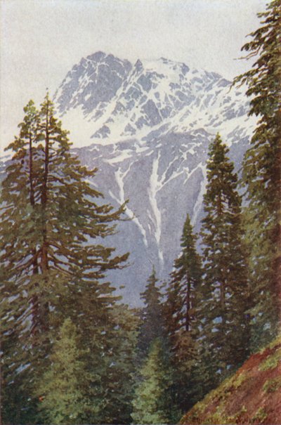 Kotwal de la forêt au-dessus de Kangan, vallée de Sind - Edward Mary Joseph Molyneux