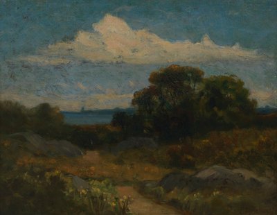 Paysage avec arbres et rochers près d