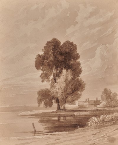 Paysage avec arbres - Edward Pretty