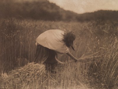  - Edward S. Curtis