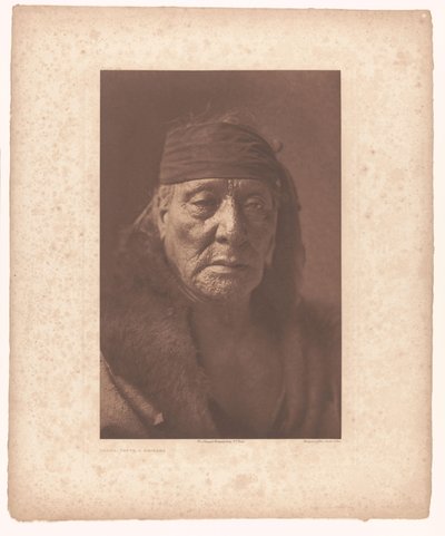 Portrait de Bear