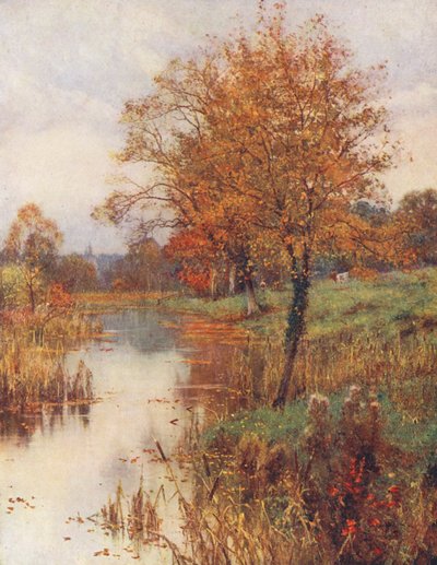 Les feuilles mortes tombent doucement et tristement à travers l