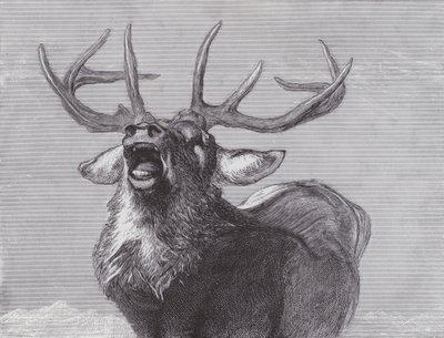 Un Défi - Edwin (after) Landseer