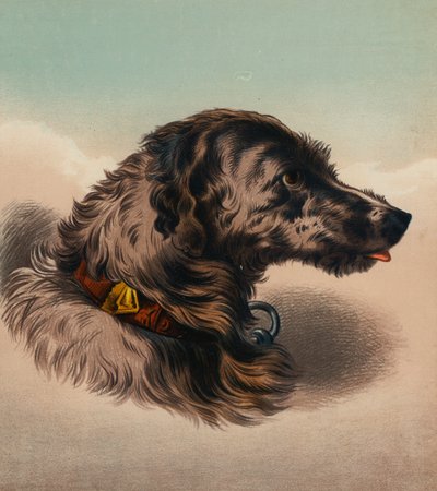 Le chien de chasse (?) - Edwin (after) Landseer