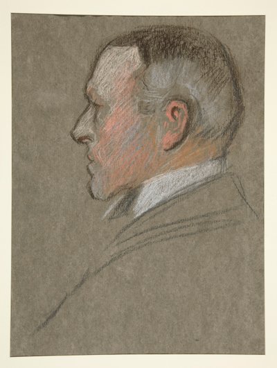 Profil gauche de la tête d