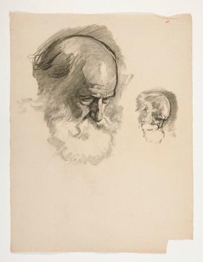 Étude de la tête d