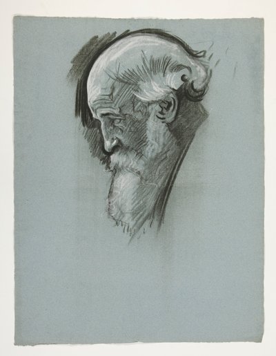 Étude de la tête d