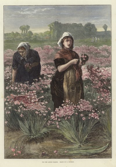 Pour le marché de Londres - Edwin Buckman