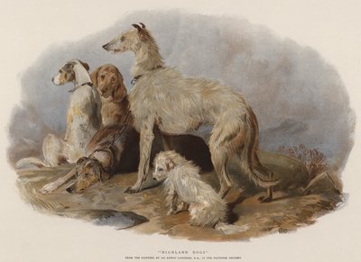 Chiens des Highlands - Edwin Landseer