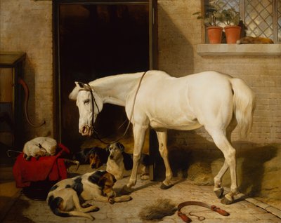 Scarbro, un vieux cheval de couverture - Edwin Landseer