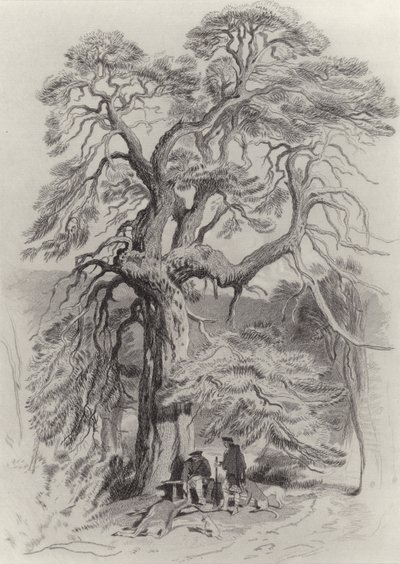 Sous le vieux sapin - Edwin Landseer