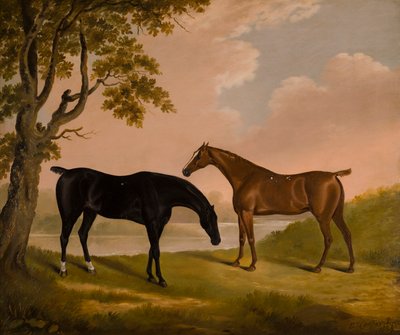 Deux chasseurs dans une rivière boisée - Edwin W. Cooper