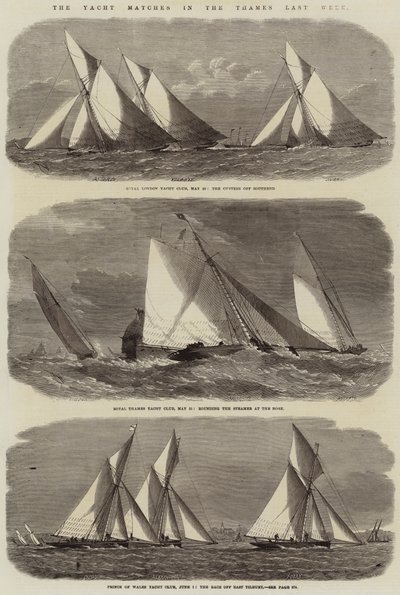 Les régates sur la Tamise la semaine dernière - Edwin Weedon