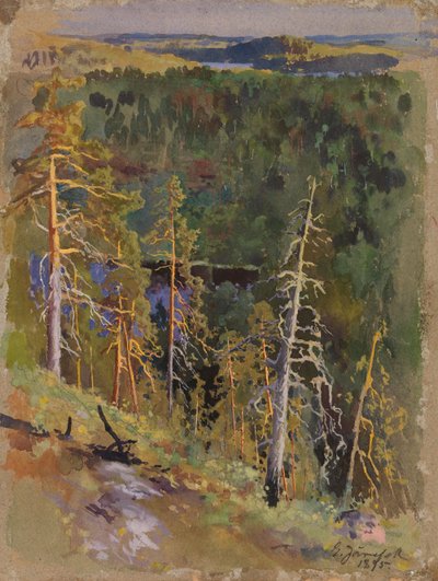 Paysage forestier - Eero Järnefelt