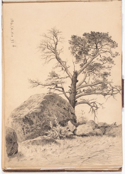 Sans titre - Eero Järnefelt