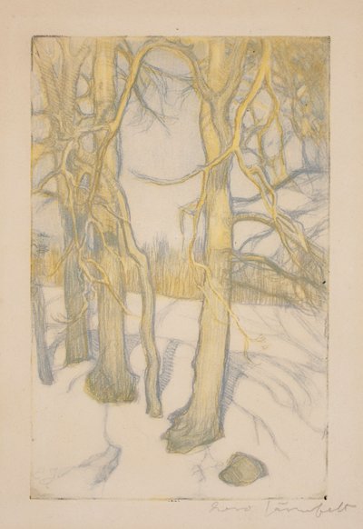 Sans titre - Eero Järnefelt