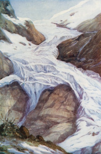 Suisse - Effie Jardine