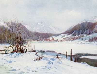 Suisse - Effie Jardine