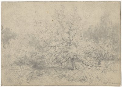 Paysage avec un arbre au centre - Egbert Rubertus Derk Schaap