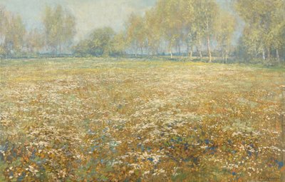 La prairie en fleurs - Egbert Schaap