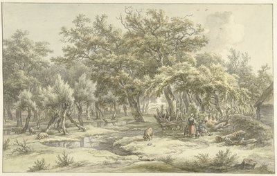 Paysage près d