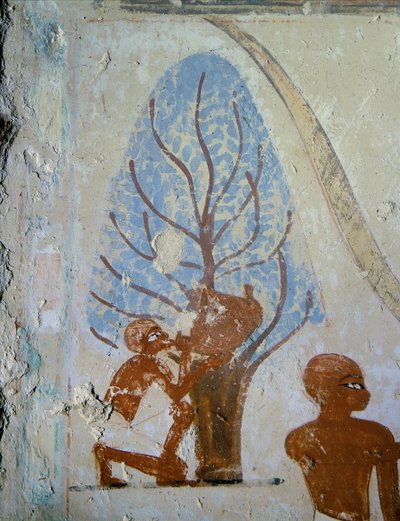  - Egyptian 18th Dynasty