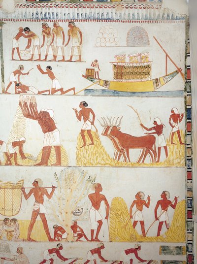 Bateau et scènes de récolte, de transport et de traitement des grains, fresque, aile sud, chambre transversale, Tombe thébaine TT69, Sheikh Abd el-Qurna, Thèbes (Liste du patrimoine mondial de l