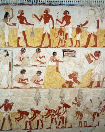 Récolte, battage et vannage du grain (détail) - Egyptian 18th Dynasty